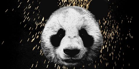 desiigner-panda